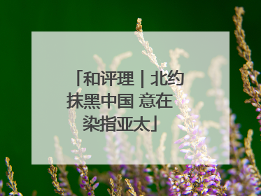 和评理｜北约抹黑中国 意在染指亚太